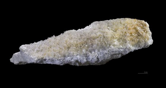 滑石（Talc）の写真